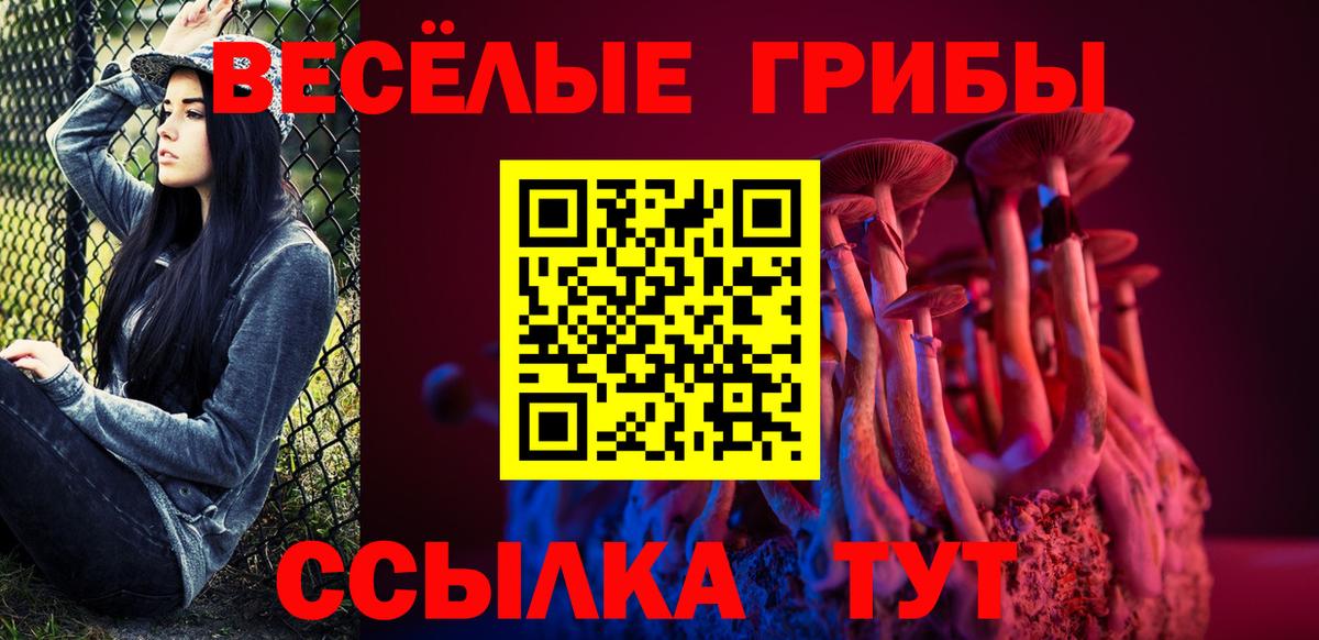 Псилоцибиновые грибы GOLDEN TEACHER Лыткарино