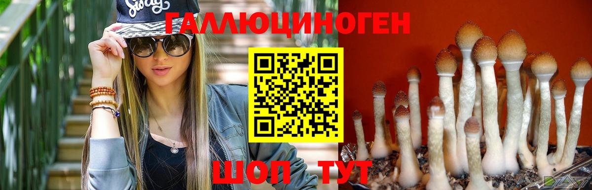 Галлюциногенные грибы MAGIC MUSHROOMS  Галлюциногенные грибы Magic Shrooms  Вход с VPN  Лыткарино 